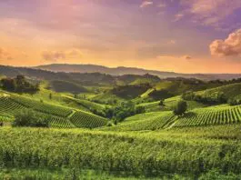 Torino e la Sardegna tra i finalisti degli EU Organic Awards 2026