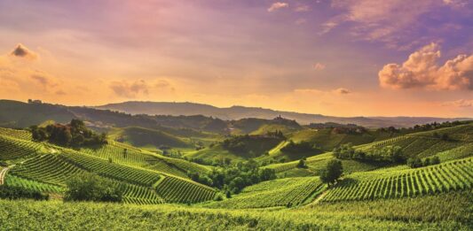 Torino e la Sardegna tra i finalisti degli EU Organic Awards 2026