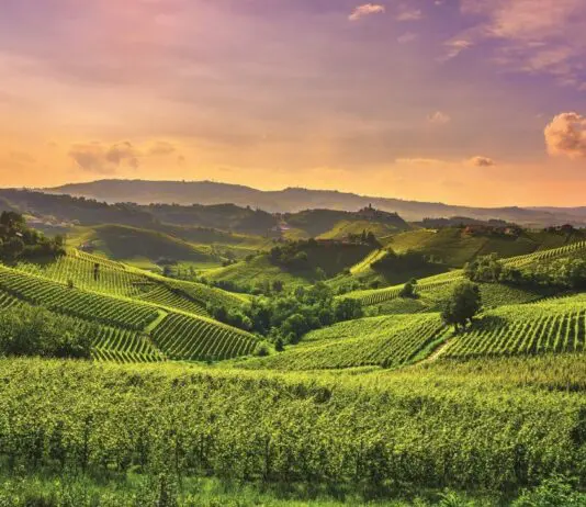 Torino e la Sardegna tra i finalisti degli EU Organic Awards 2026