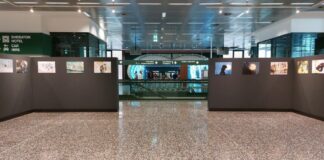 Malpensa, mostra Afni celebra la natura per Youth4climate