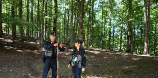 In 10 anni 587 mila ettari in più di boschi in Italia