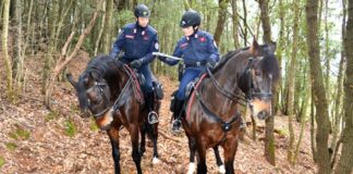 Regione Lombardia rinnova convenzione per impiego Carabinieri Forestali