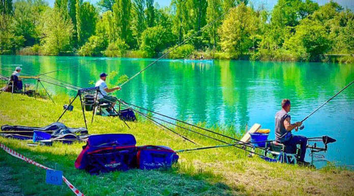 Al via a Peschiera del Garda il Mondiale Pesca al Colpo per nazioni