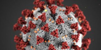 Covid, in Sardegna 77 nuovi casi