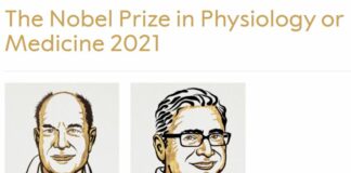 Il Nobel per la medicina agli studi sui recettori di temperatura e tatto