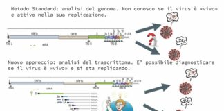 Covid, è possibile individuare il grado di infettività dei positivi