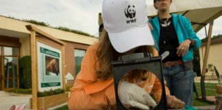 Contest “Urban Nature” del Wwf, premi per 8 scuole