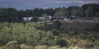 Hamilton domina le libere in Turchia ma Leclerc è vicino