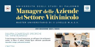 A Palermo un master per Manager Aziende del Settore Vitivinicolo