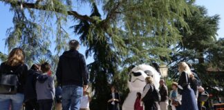 Urban Nature 2021, 140 eventi del WWF per vivere in città più sane