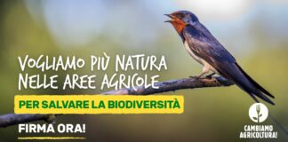 Al via la raccolta firme #CambiamoAgricoltura