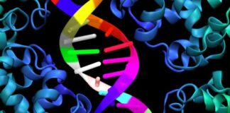 Inventata al San Raffaele una nuova tecnica di analisi “omica”