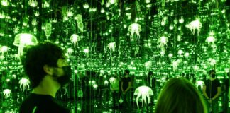 A Milano-Bicocca “IllusiOcean”, mostra dedicata all’ecosistema marino