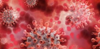 Covid, nessun decesso e 5 nuovi positivi in Valle d’Aosta