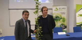 Maserati, Bosch e Ford ritirano il Green Prix 2020