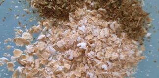 A Tuttofood le curiosità a tavola