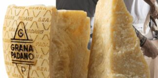 A Goito torna la Fiera del Grana Padano dei Prati Stabili