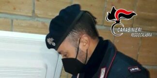 Droga, piantagione di cannabis e ghiri nel frigo, 3 arresti nel reggino