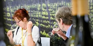 Inaugurato Vinitaly Special Edition, settore guarda al post-pandemia