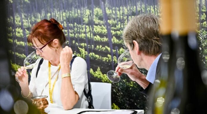 Inaugurato Vinitaly Special Edition, settore guarda al post-pandemia