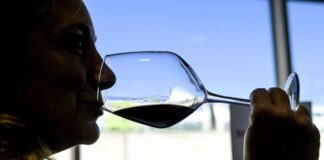 Vino, il nuovo equilibrio nel mercato della distribuzione moderna