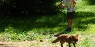 Il Wwf a Gualtieri “Roma sia la capitale europea della biodiversità”