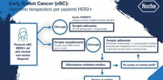 Due nuove molecole per la cura del tumore al seno HER2+ in fase precoce