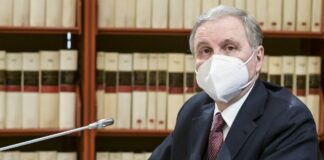 Visco “Next Generation Eu è temporaneo, servono soluzioni strutturali”