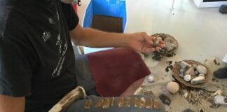 Al via progetto “Alla scoperta uomo neolitico dell’Aspromonte”