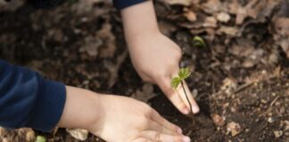 Green Economy, E.Romagna protagonista alla 24^ edizione di Ecomondo