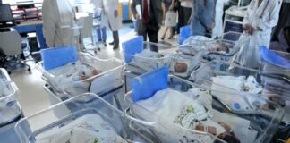 Calo demografico, Orfeo “Servono politiche per la famiglia”