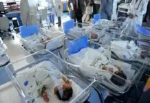 Carpediem, dalla ricerca italiana nuove opportunità per la dialisi neonatale