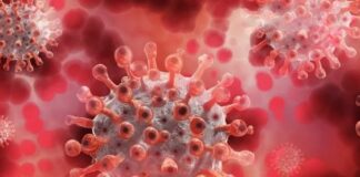 Covid. MSD e Ridgeback, avvio “rolling review” Ema per farmaco antivirale