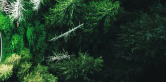 Al via a Rimini Ecomondo e Key Energy 2021