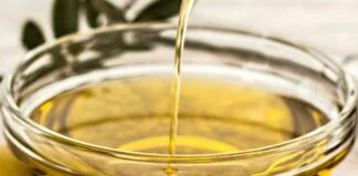 Toscana, olio extravergine d’oliva protagonista a Reggello
