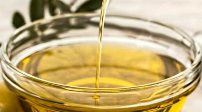 Toscana, olio extravergine d’oliva protagonista a Reggello