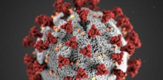 In Sicilia 484 nuovi casi di Covid e 8 decessi, ricoveri in lieve calo