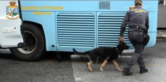 Sequestrati a Messina 10 kg di hashish, arrestato corriere
