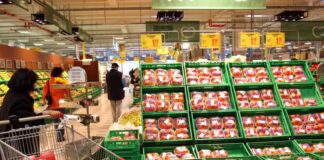 A ottobre sale la fiducia delle imprese ma cala per i consumatori