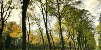 “Liguria Preziosa”, la restart della Regione passa per i parchi