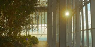 B20 Italy, progetti per far ripartire l’economia