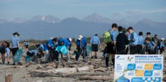 “Beach clean up”, volontari di Marevivo puliscono spiaggia in Toscana