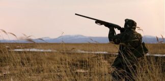 Caccia in Lombardia, bocciata mozione contro l’assessore Rolfi