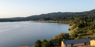 Da Trento alla Sila, studenti al lavoro per la rigenerazione urbana