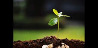 A Napoli partono i laboratori per bambini sul riutilizzo del caffè