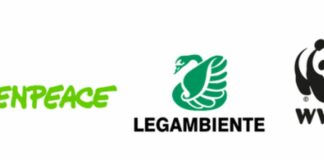 Decarbonizzazione, ambientalisti “Da Cop26 segnali concreti”