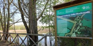 Emilia Romagna rafforza la tutela di due siti della Rete Natura 2000