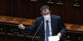 Green Pass, Patuanelli “Chi manifesta rispetti le regole”