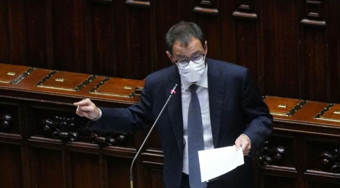 Green Pass, Patuanelli “Chi manifesta rispetti le regole”