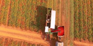 Agricoltura, Ok da Assemblea E.Romagna a legge taglia burocrazia